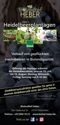 Heidelbeer-Plantage